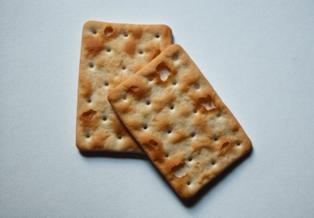 cookie, water cracker, food