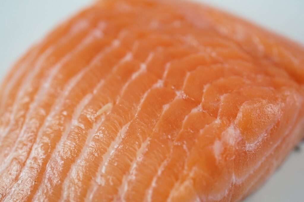 salmon, fish, salmon fillet, fresh salmon, raw salmon, raw, fillet, fresh, healthy, eat, food, nature, food photography