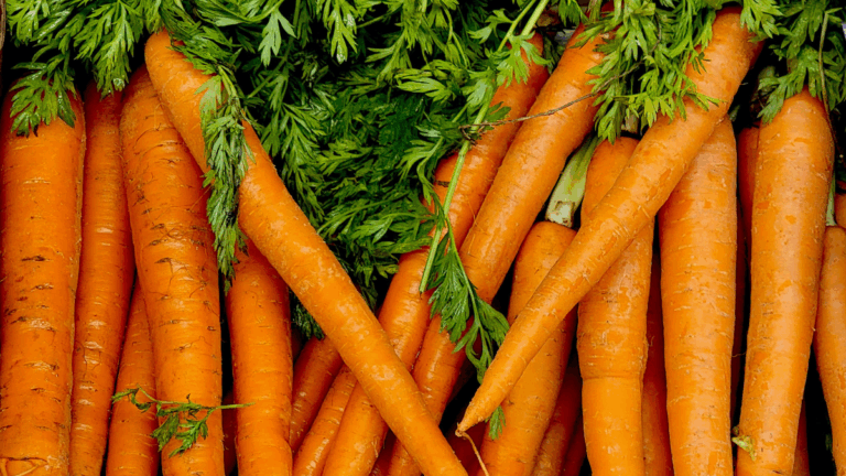Carrots, The Next High-Protein Hack?
